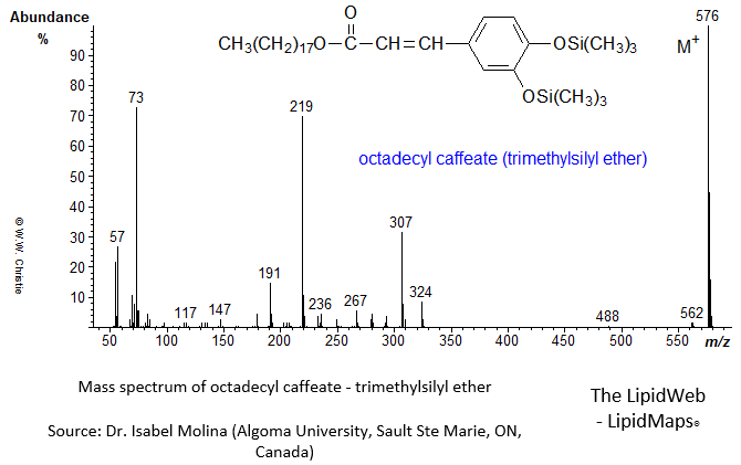 Mass spectrum of octadecyl caffeate - OTMS