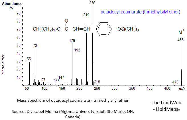 Mass spectrum of octadecyl coumarate - OTMS
