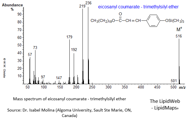 Mass spectrum of eicosanyl coumarate - OTMS
