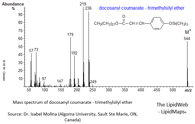 Mass spectrum of docosanyl coumarate - OTMS