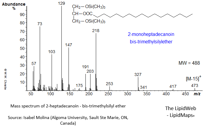 Mass spectrum of 2-heptadecanoin - bis-trimethylsilyl ethers (TMS)