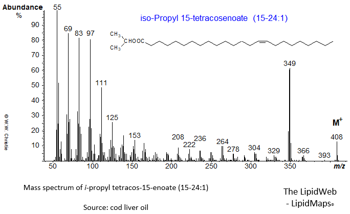 Mass spectrum of iso-propyl 15-tetracosenoate (15-24:1 or nervonate)