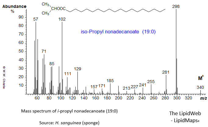 Mass spectrum of iso-propyl nonadecanoate (19:0)