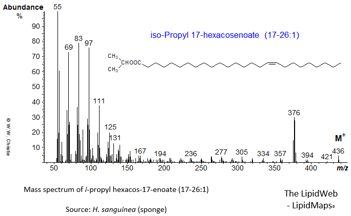 Mass spectrum of iso-propyl 17-hexacosenoate (17-26:1)