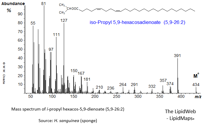 Mass spectrum of iso-propyl 5,9-hexacosadienoate (5,9-26:2)