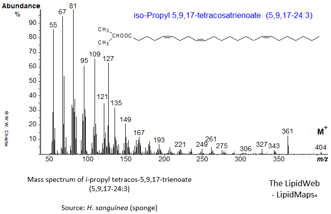 Mass spectrum of iso-propyl 5,9,17-tetracosatrienoate (5,9,17-24:3)
