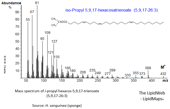 Mass spectrum of iso-propyl 5,9,17-hexacosatrienoate (5,9,17-26:3)