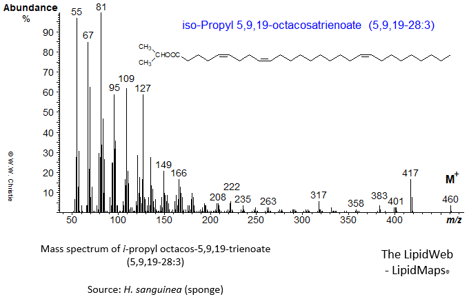 Mass spectrum of iso-propyl 5,9,19-octacosatrienoate (5,9,19-28:3)