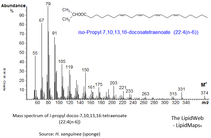 Mass spectrum of iso-propyl 7,10,13,16-docosatetraenoate (22:4(n-6))