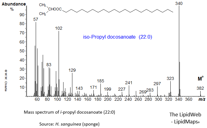 Mass spectrum of iso-propyl docosanoate (22:0)