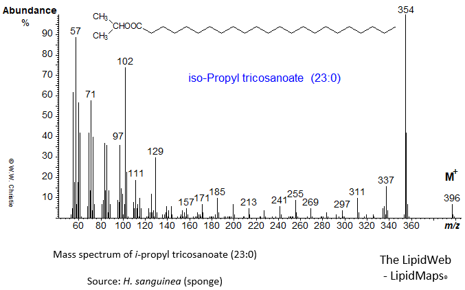 Mass spectrum of iso-propyl tricosanoate (23:0)