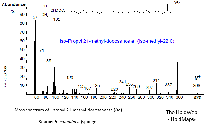 Mass spectrum of iso-propyl 21-methyl-docosanoate (iso)