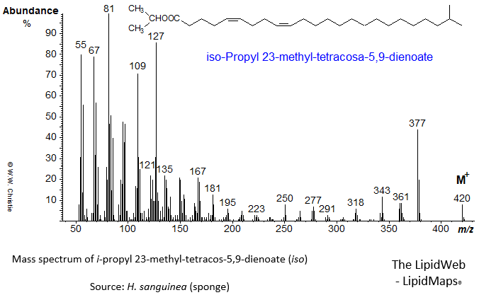 Mass spectrum of iso-propyl 23-methyl-5,9-tetracosadienoate (iso)