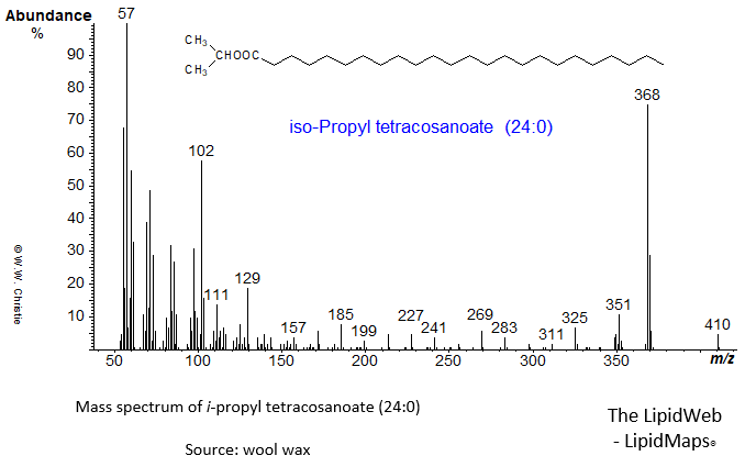 Mass spectrum of iso-propyl tetracosanoate (24:0)