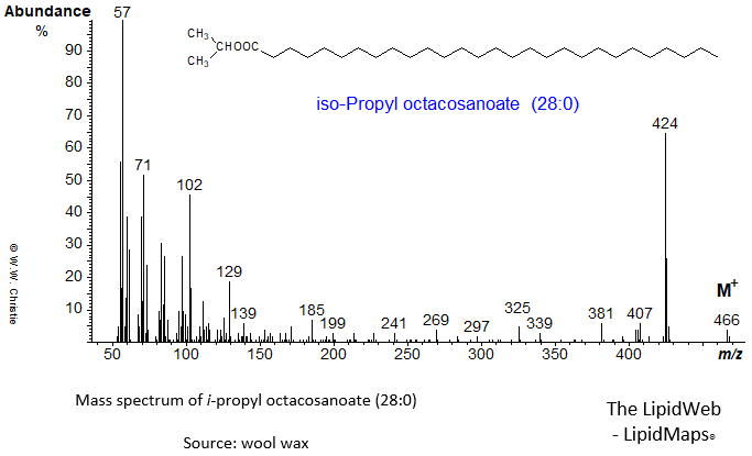 Mass spectrum of iso-propyl octacosanoate (28:0)