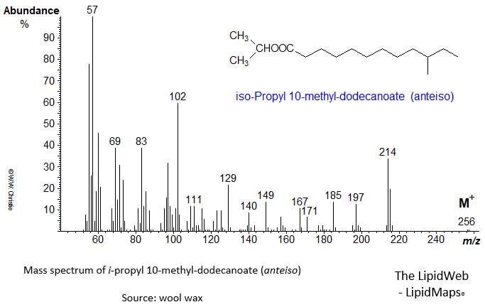 Mass spectrum of iso-propyl 10-methyl-dodecanoate (anteiso)