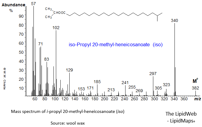 Mass spectrum of iso-propyl 20-methyl-heneicosanoate (iso)