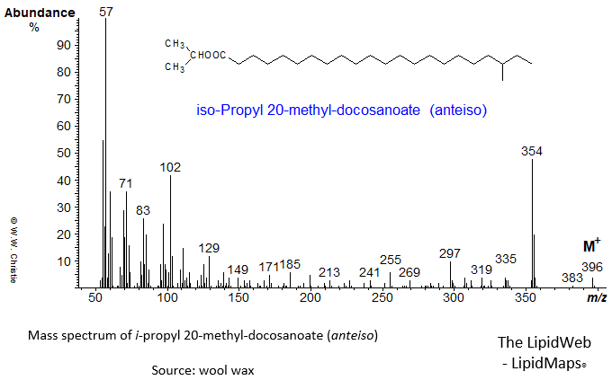 Mass spectrum of iso-propyl 20-methyl-docosanoate (anteiso)