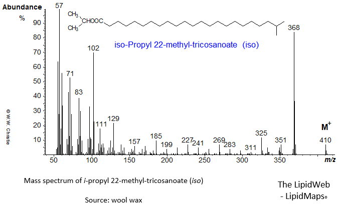Mass spectrum of iso-propyl 22-methyl-tricosanoate (iso)