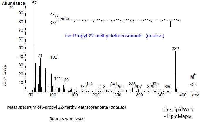 Mass spectrum of iso-propyl 22-methyl-tetracosanoate (anteiso)