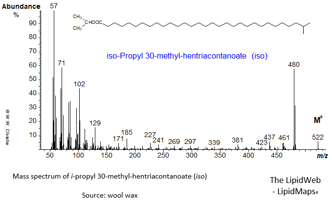 Mass spectrum of iso-propyl 30-methyl-hentriacontanoate (iso)