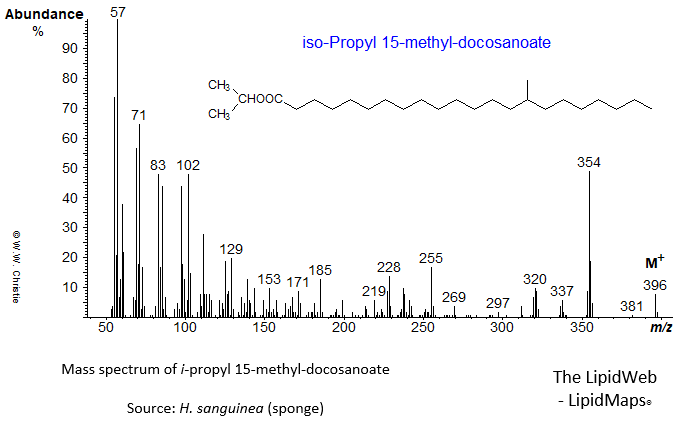 Mass spectrum of iso-propyl 15-methyl-docosanoate