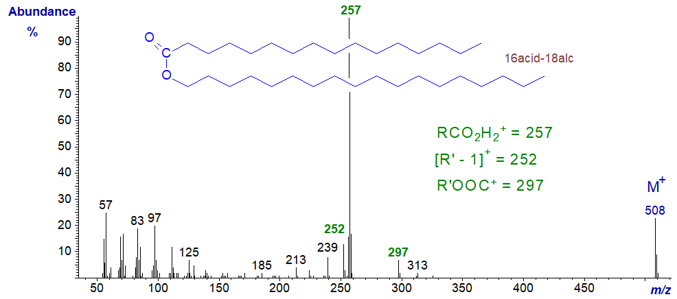 Mass spectrum of octadecanyl hexadecanoate