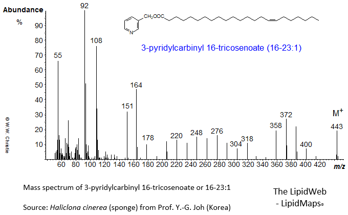 Mass spectrum of 3-pyridylcarbinyl ('picolinyl') 16-tricosenoate (16-23:1)