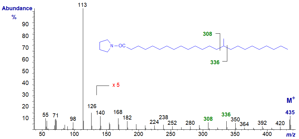 Mass spectrum of the pyrrolidide of 17-methyl-tetracosanoate