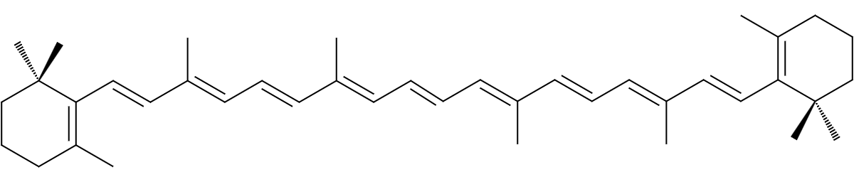 Lipid of the Month