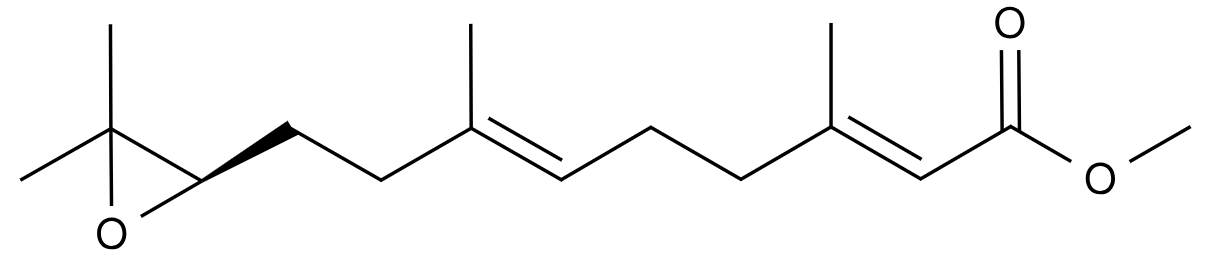 Lipid of the Month