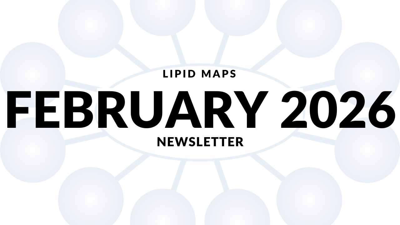 Newsletter thumbnail