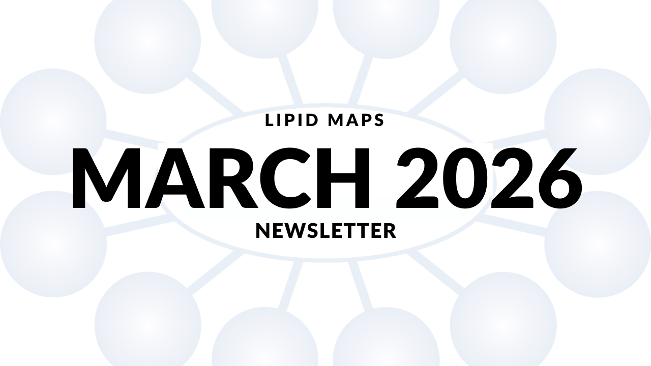 Newsletter thumbnail