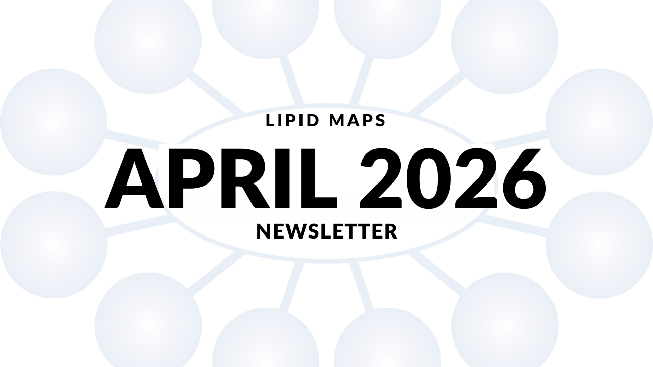 Newsletter thumbnail